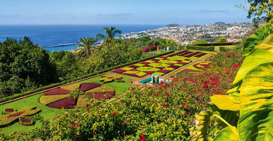 Au coeur de Madère - Logement en hôtel 4* à Funchal - Madère