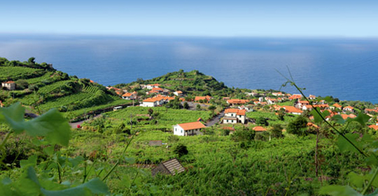 Séjour découverte à Funchal 3* - Madère