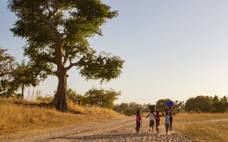 Saveur Nature au Sénégal - Sénégal