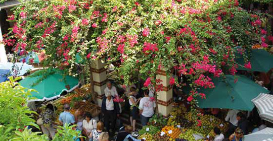 Terres Madériennes - Muthu Raga Madeira 4*NL - Madère