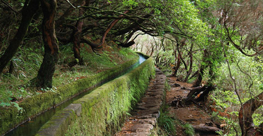 Terres Madériennes - Muthu Raga Madeira 4*NL - Madère
