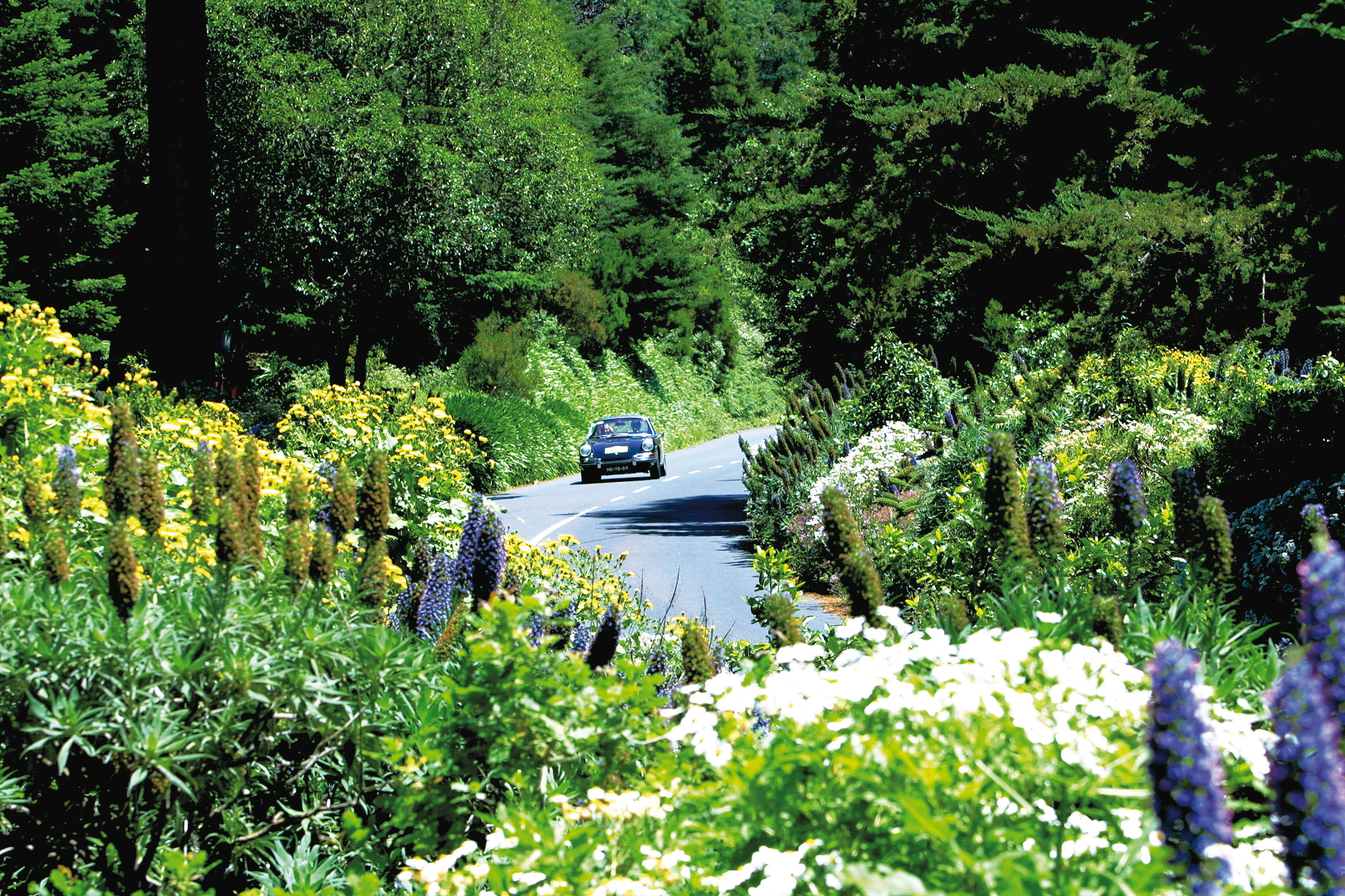 Madère - Road Trip à Madère
