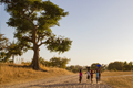 Saveur Nature au Sénégal